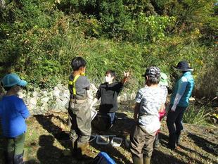 「自然観察会」を開催しました