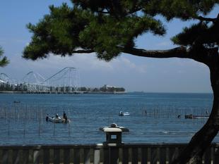 【博文邸の秋のお花】戸川寒