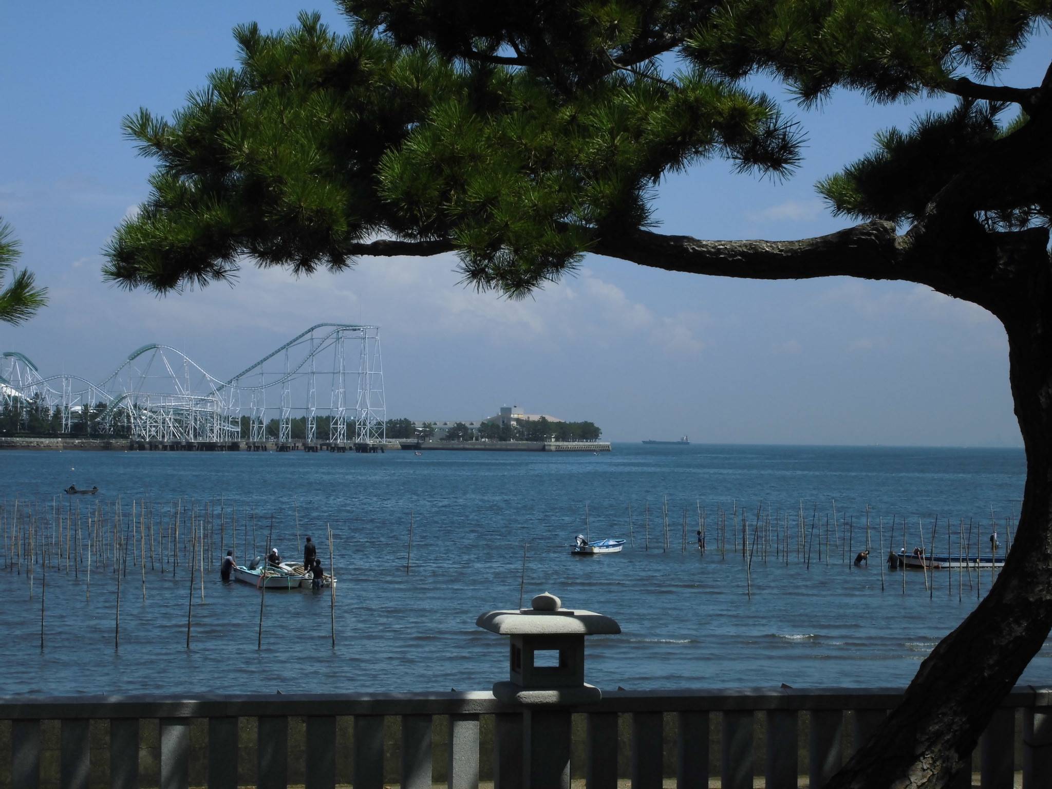【博文邸の秋のお花】戸川寒の写真