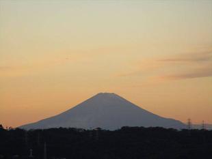 園長と島さんぽ「野島夕映編」を開催しました