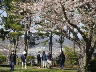 今年度最後の園長と島さんぽを開催しました。
