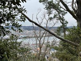 松枯れ伐採後の眺望