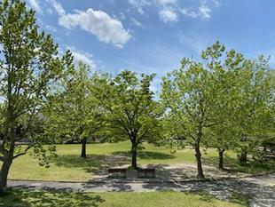 室の木の公園も良いですよ
