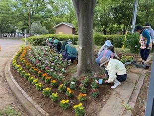 「のじま花の会」の皆様による花壇作り