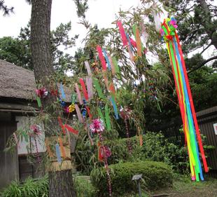 博文邸の七夕飾り（７/１～７/７　※７/５休館日を除く）
