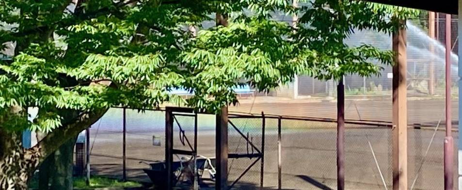 晴れてても虹の写真
