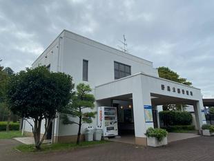 管理棟付近の木々