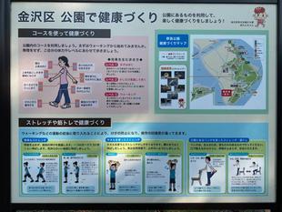 健康づくりの秋