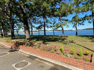 海岸花壇、植替えました。