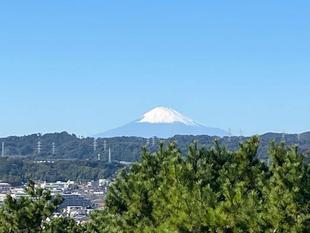 野島公園 富士山だより