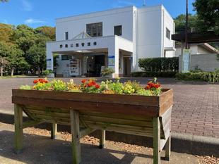 管理棟前のプランター