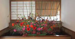 秋色のお花を邸内に飾りました(11/20~11/27)