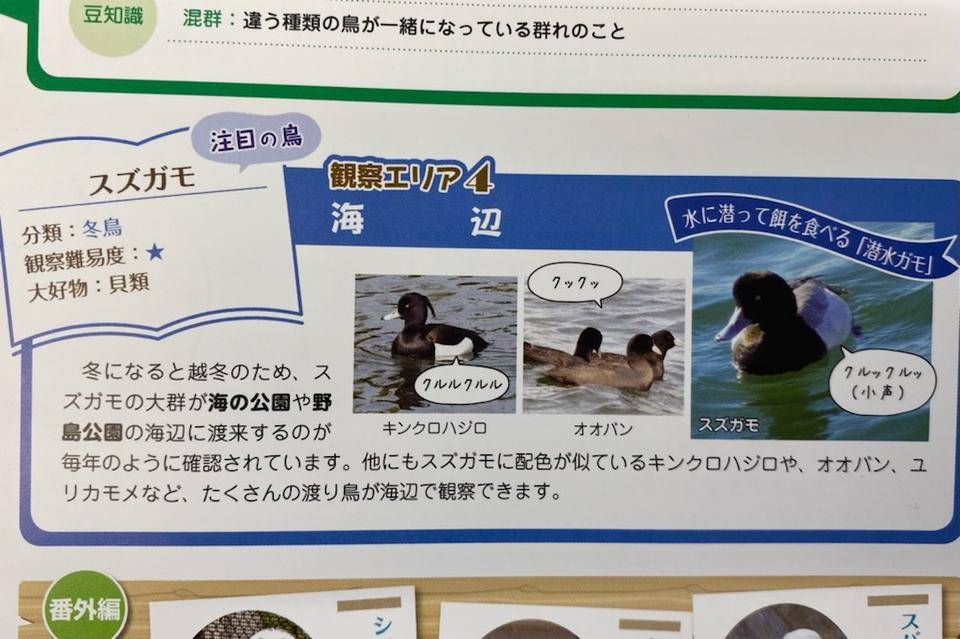 バードウォッチングも楽しめますの写真