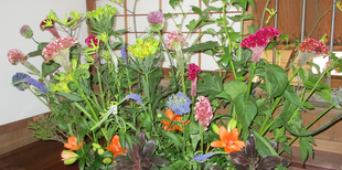  季節のお花を邸内に飾っています（6/18～6/25　休館日6/20を除く）