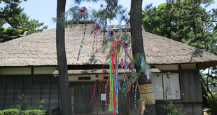  博文邸の七夕飾り（７/１～７/７　※７/4（月）休館日を除く）