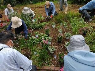 市民協働花壇への花植え