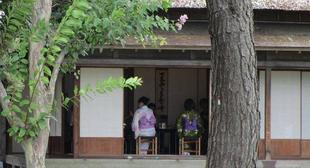 博文邸「夏のお茶会」を開催しました