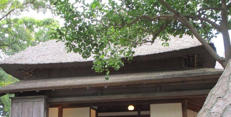今日の素敵な風景をご紹介しますの写真