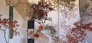 旧伊藤博文金沢別邸　花と博文邸（11/7～11/12）