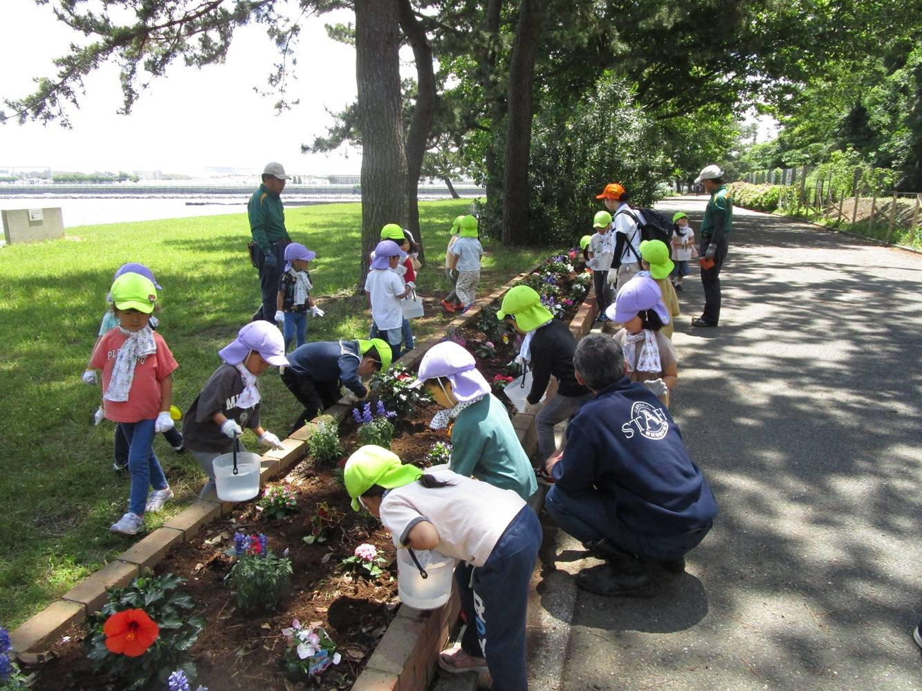 皆で彩る公園花壇づくりの写真