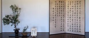 旧伊藤博文金沢別邸 「季節の花の展示」6月8日(土)~6月14日(金)開催