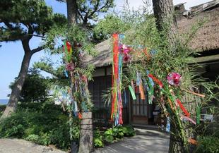 博文邸の七夕飾り 7/7(日)迄 ※7/1(月)休館日を除く