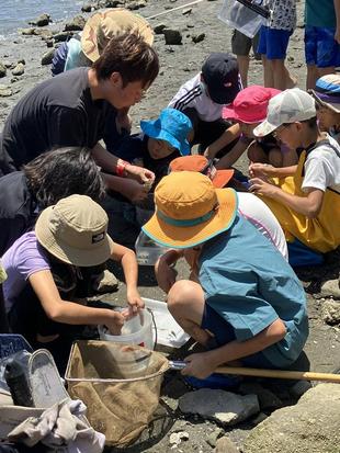 自然観察会を行いました! ~ビオトープ、海岸~