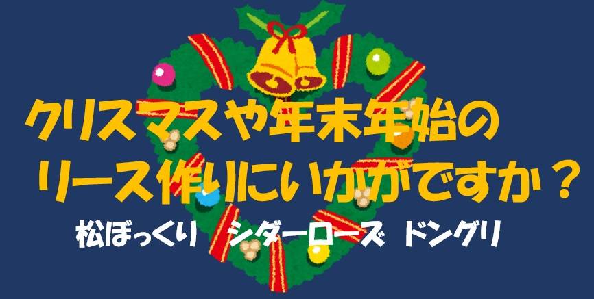 松ぼっくり・シダーローズ・どんぐり 販売始めましたの写真