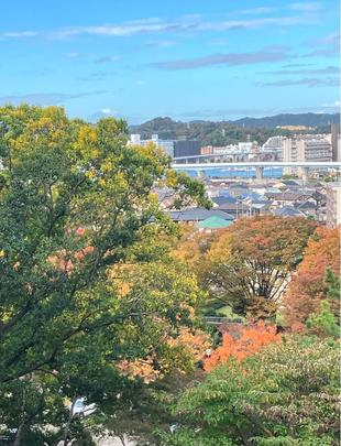 紅葉が綺麗です。