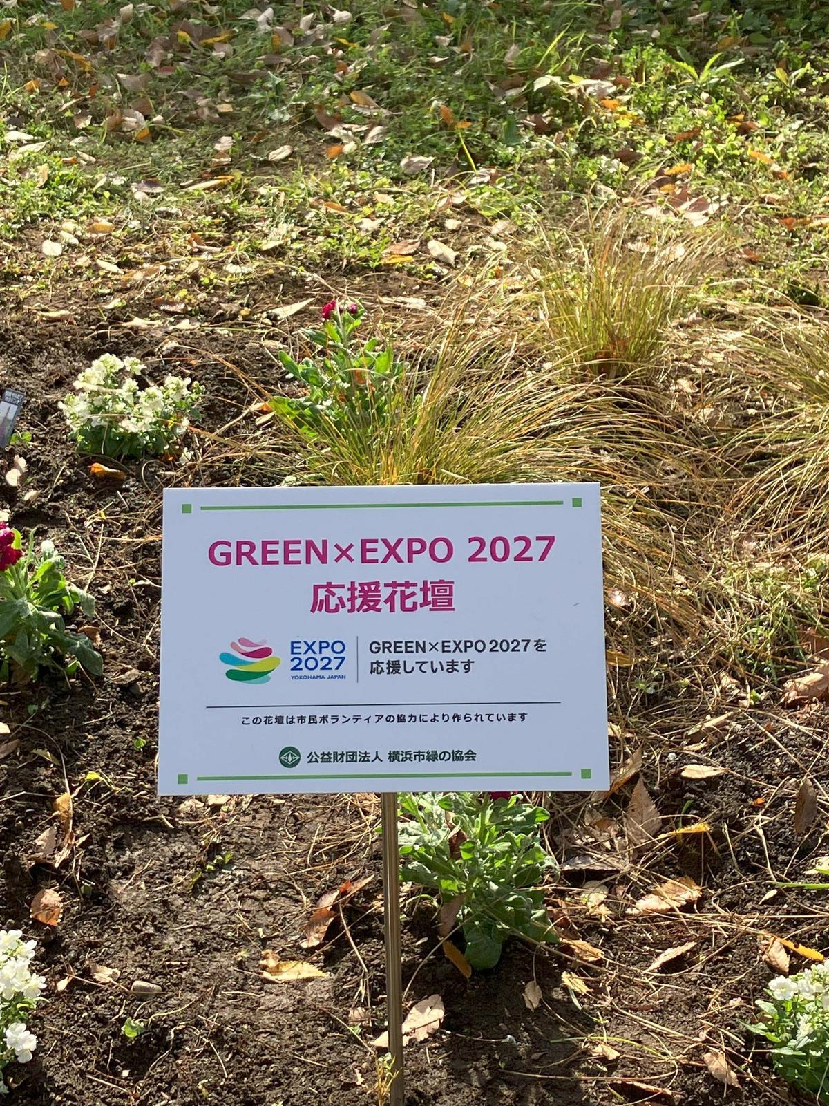 GREEN x EXPO 2027 応援花壇 植付けしました！|｜ブログ|野島公園/旧