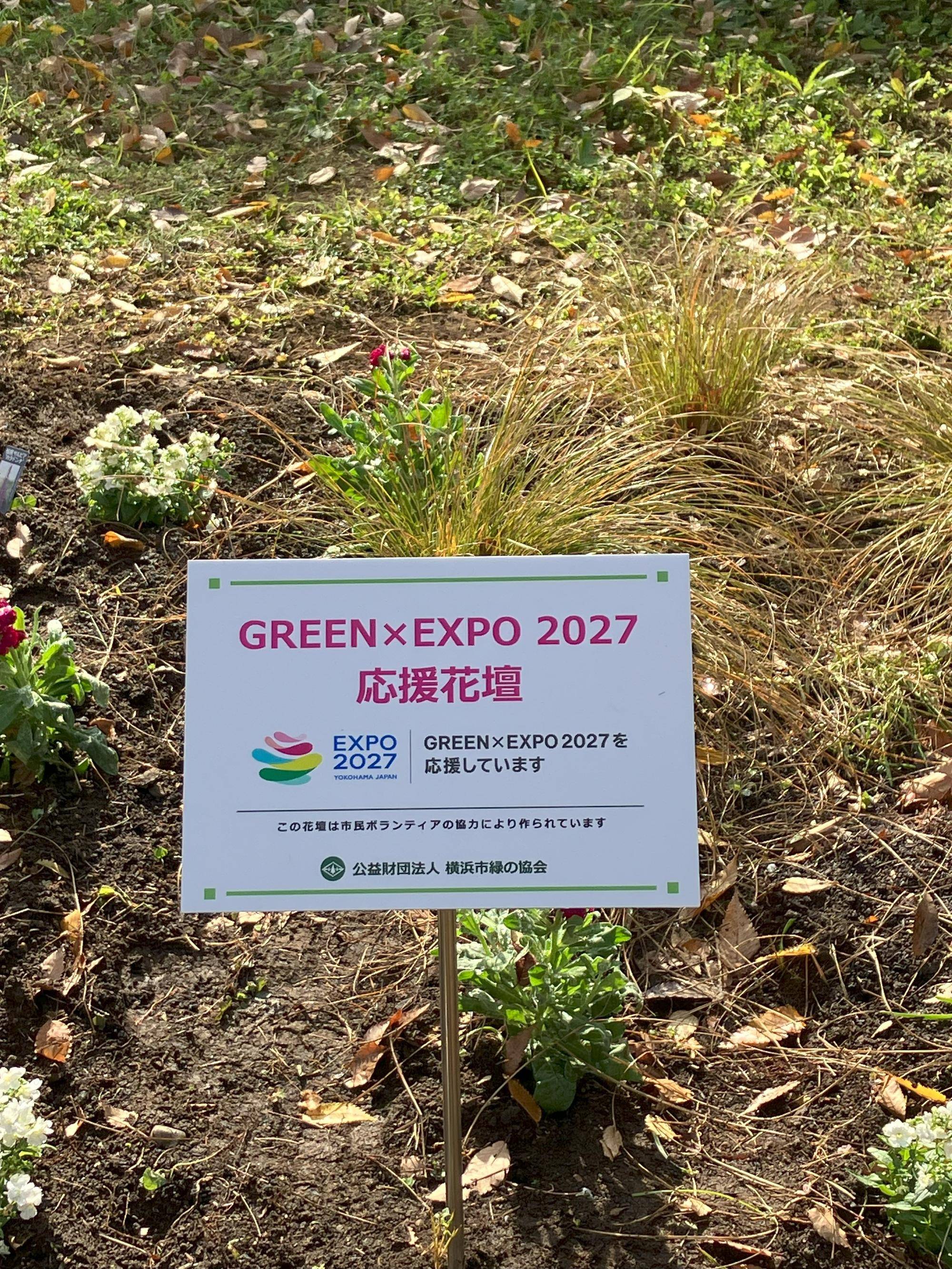 GREEN x EXPO 2027 応援花壇 植付けしました!の写真