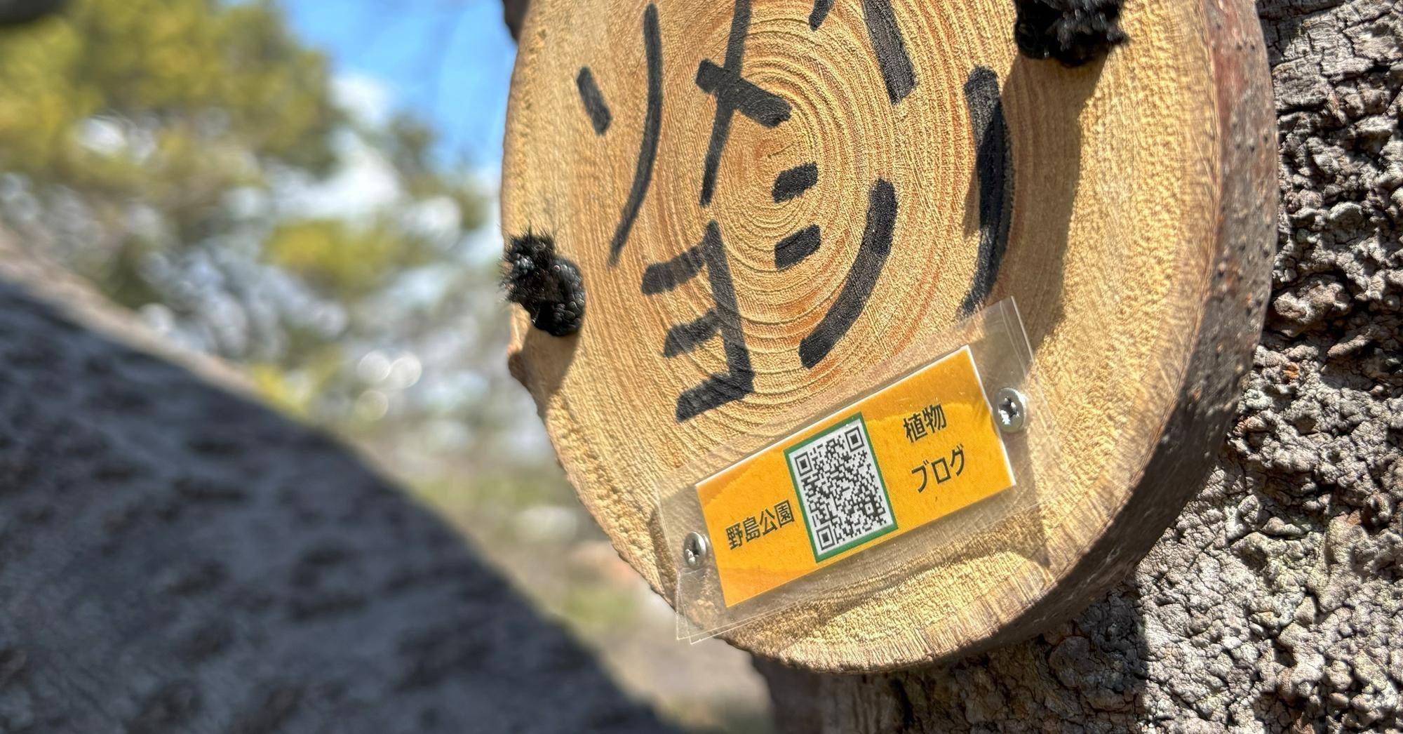 QRコードより野島公園の木々の「ブログ」がご覧いただけます!の写真
