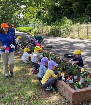 園児の皆さんと花植えをしました。