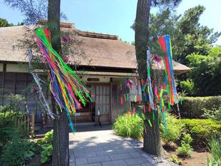 博文邸【七夕飾り】旧伊藤博文金沢別邸