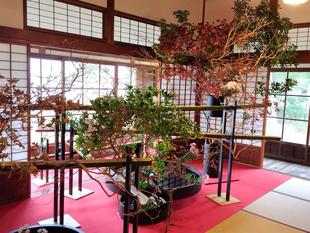 【花と博文邸】開催中~10/26(日)まで 旧伊藤博文金沢別邸