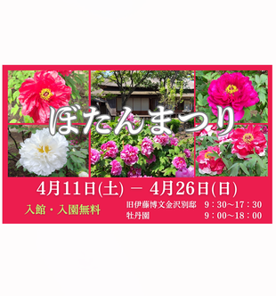 ぼたんまつり【旧伊藤博文金沢別邸】