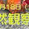 夏の「自然観察会」参加者募集！の画像