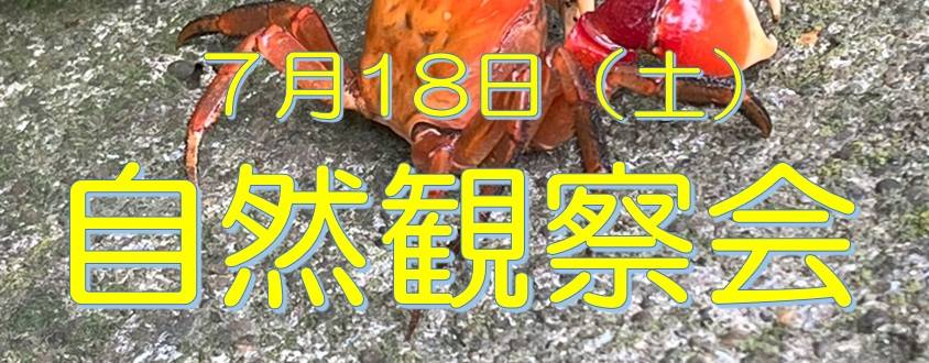夏の「自然観察会」参加者募集！の写真
