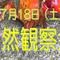 夏の「自然観察会」参加者募集！の画像