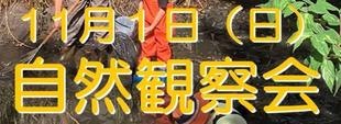 秋の「自然観察会」参加者募集！