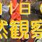 秋の「自然観察会」参加者募集！の画像