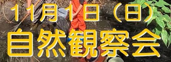 秋の「自然観察会」参加者募集！の画像
