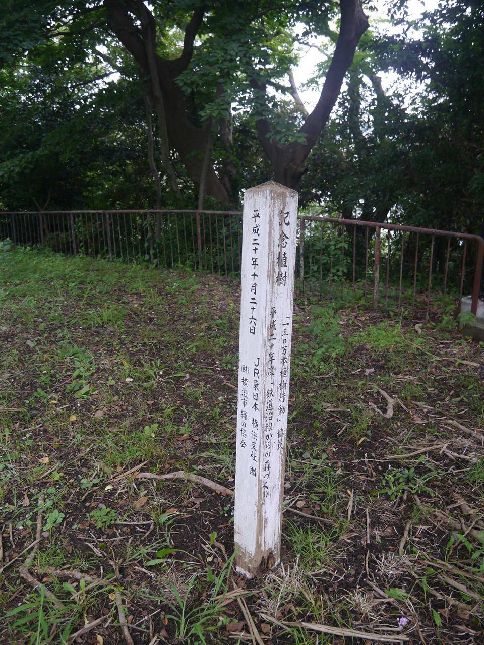 P1020033.jpg