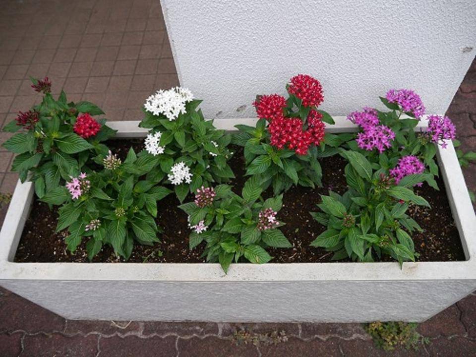 P1010923.jpg