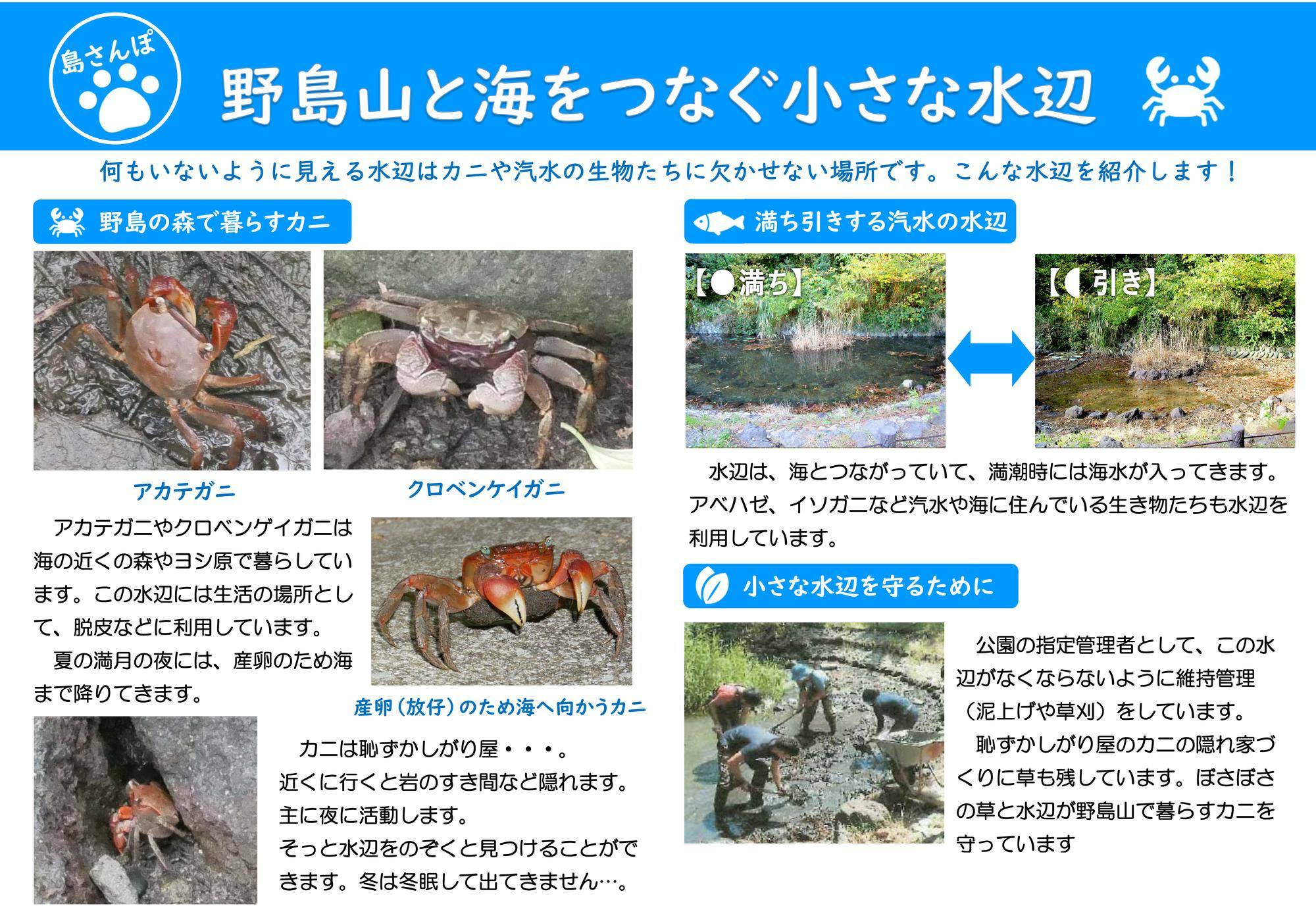 島の生きものたち　淡路の生物誌 島の生きものたち 淡路の生物誌 - メルカリ
