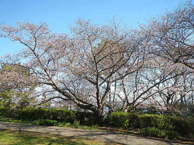 310324基準.jpg
