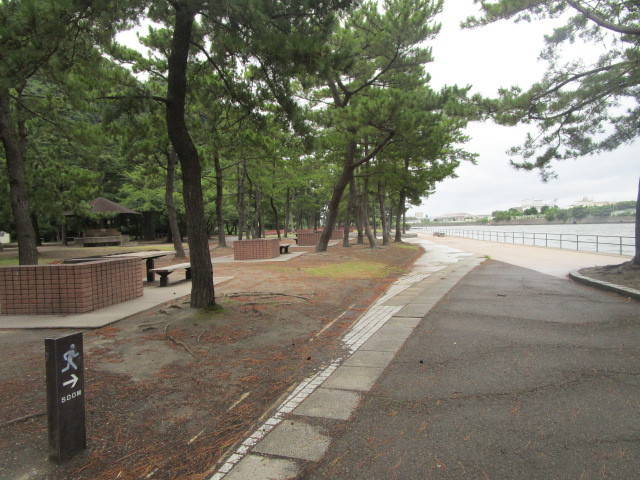 29083120六百付近.jpg