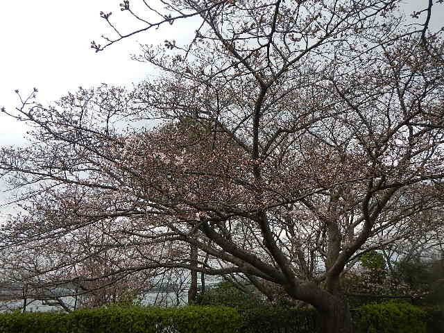 310323基準.jpg