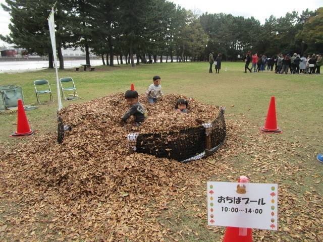 281119落ち葉プール.jpg