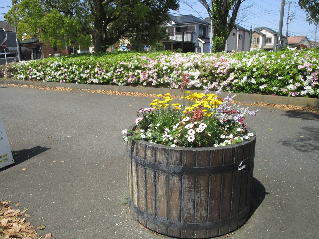 プランター①20240415.jpg